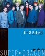 SUPERDRAGON ARTIST BOOK SD File `Deluxe Edition 3`